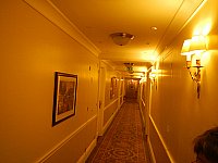 [DSCN1784.jpg]