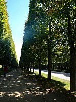 [DSCN1873.jpg]
