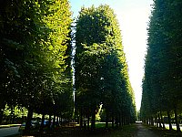 [DSCN1875.jpg]