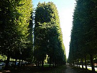 [DSCN1876.jpg]